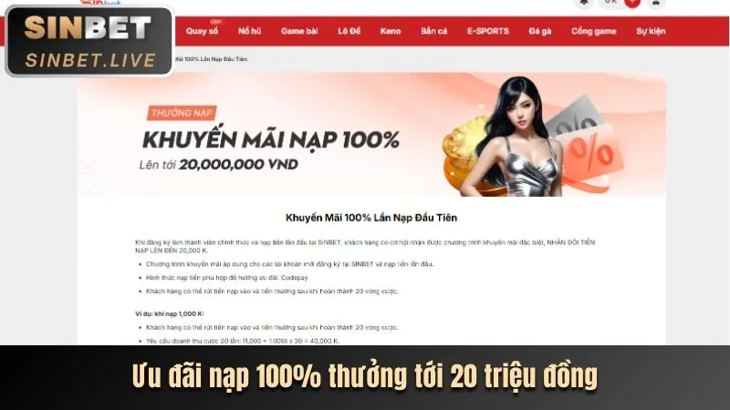 Tổng hợp khuyến mãi b29 apk